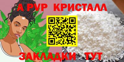 ECSTASY Гай
