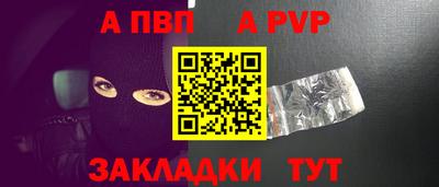 ECSTASY Гатчина