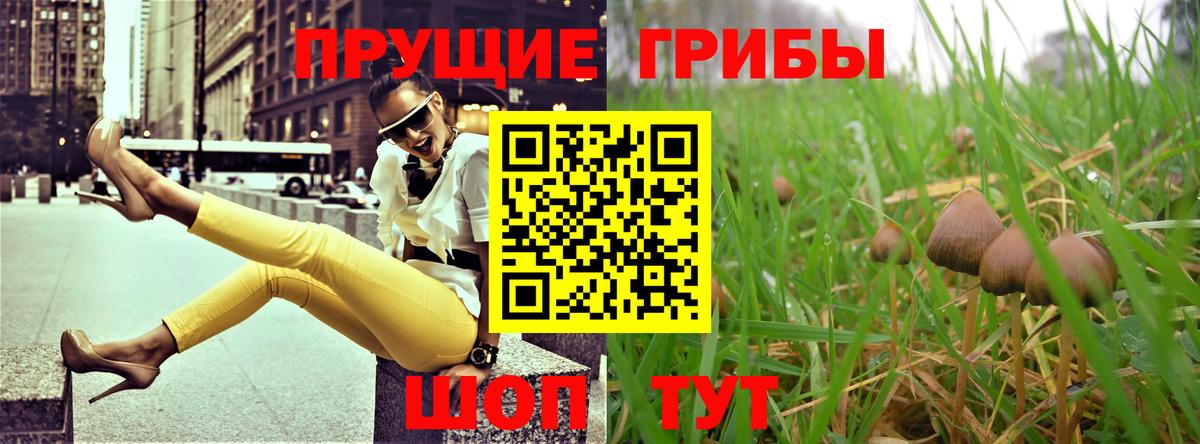 Псилоцибиновые грибы Psilocybine cubensis  Вход с VPN  Гусь-Хрустальный 