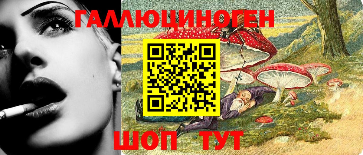 Псилоцибиновые грибы мухоморы Гусь-Хрустальный